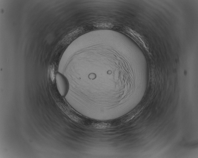 X0000085740069200704091520