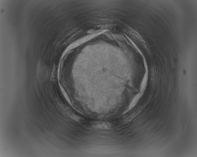 X0000085740073200704091520