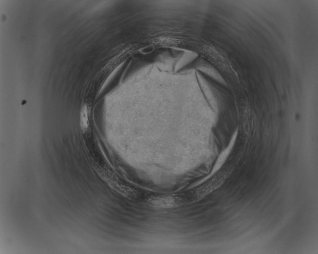 X0000085740075200704091520