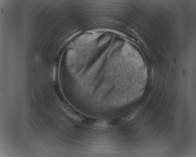 X0000085740076200704091520