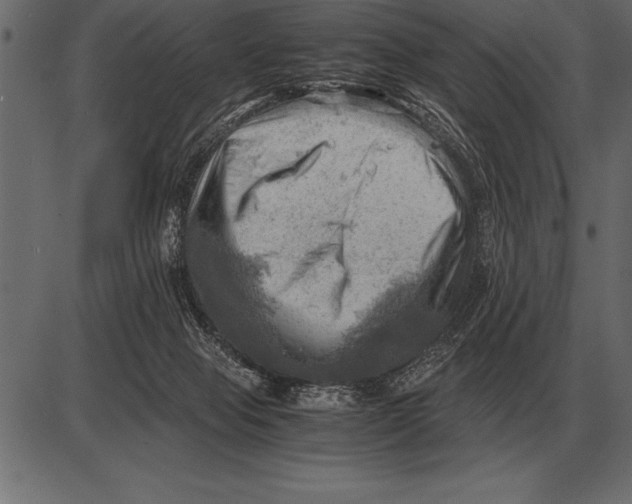 X0000085740077200704091520