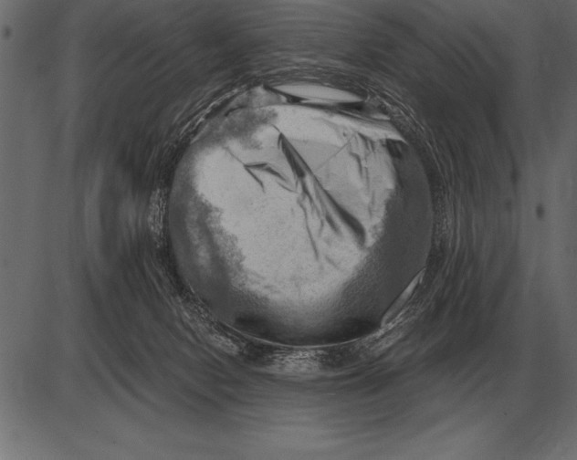 X0000085740078200704091520