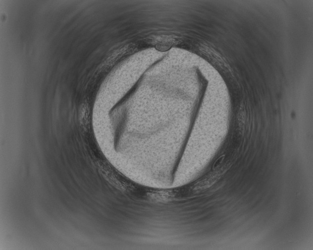 X0000085740079200704091521