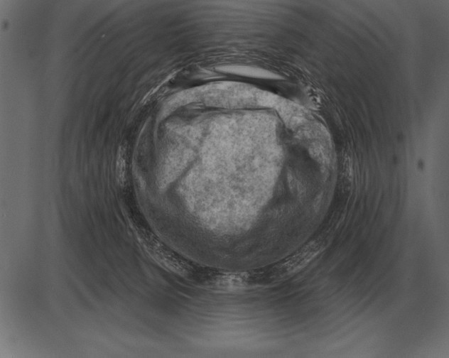 X0000085740080200704091521