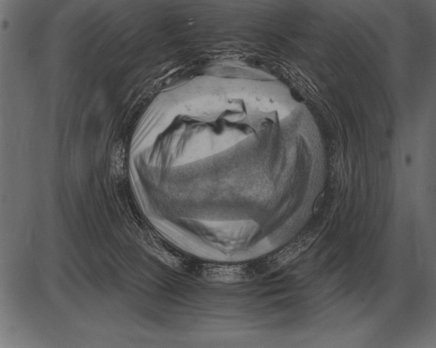 X0000085740081200704091521