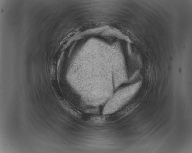 X0000085740084200704091521