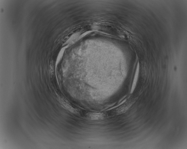 X0000085740085200704091521