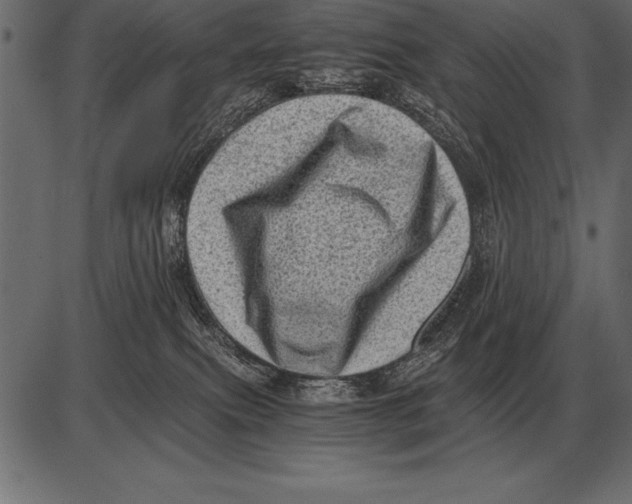 X0000085740087200704091521