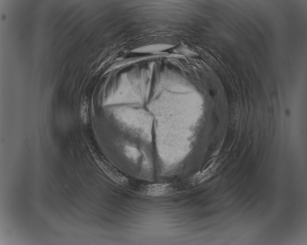 X0000085740090200704091521