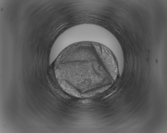 X0000085740092200704091521