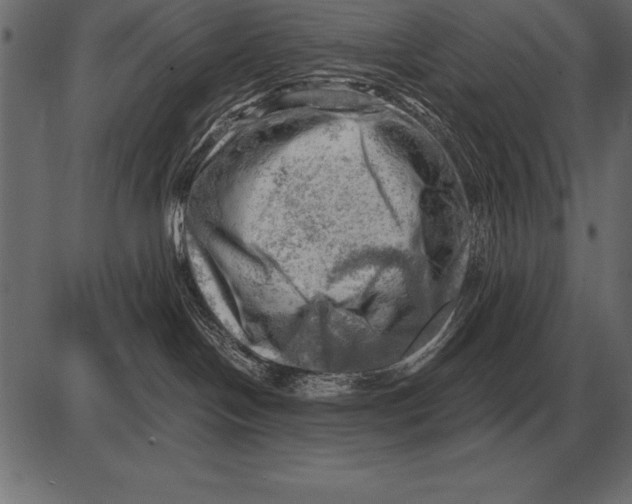 X0000085740094200704091521
