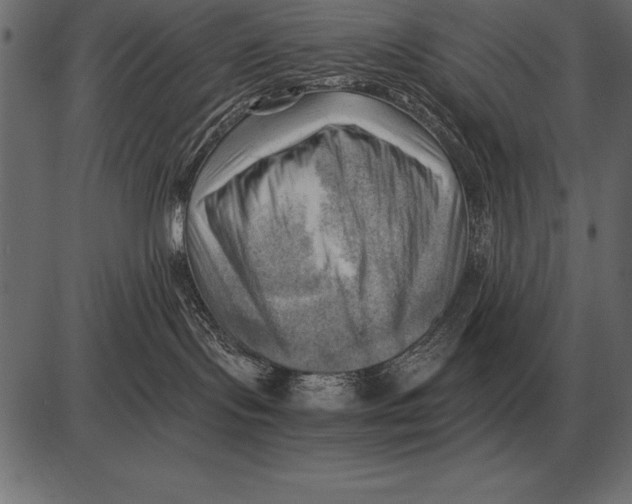 X0000085740095200704091521