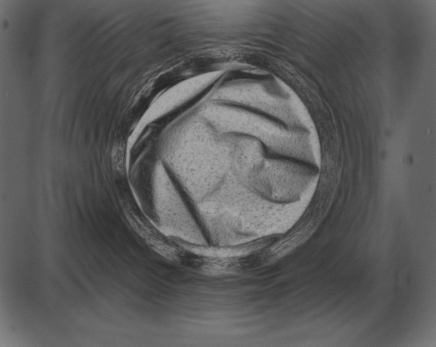 X0000085740096200704091521