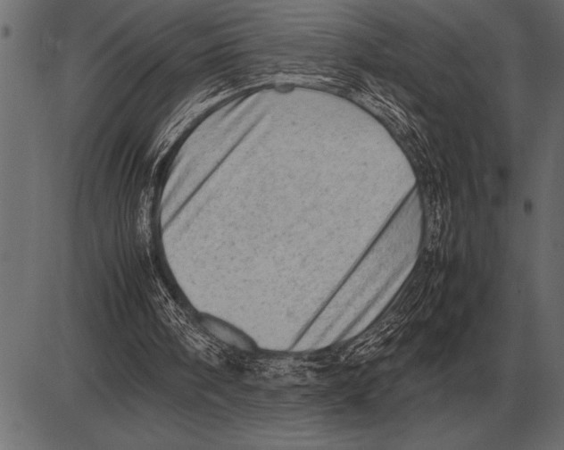 X0000085740098200704091520
