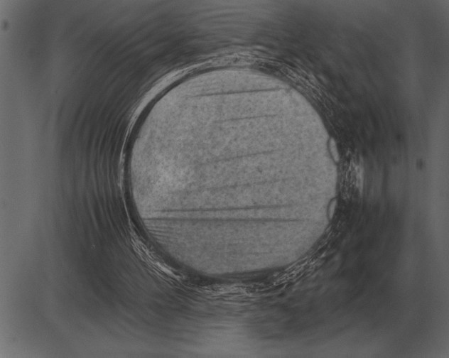 X0000085740100200704091520