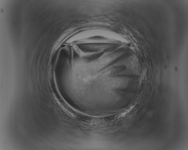 X0000085740101200704091520