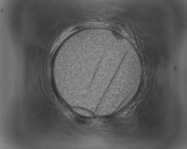 X0000085740103200704091520