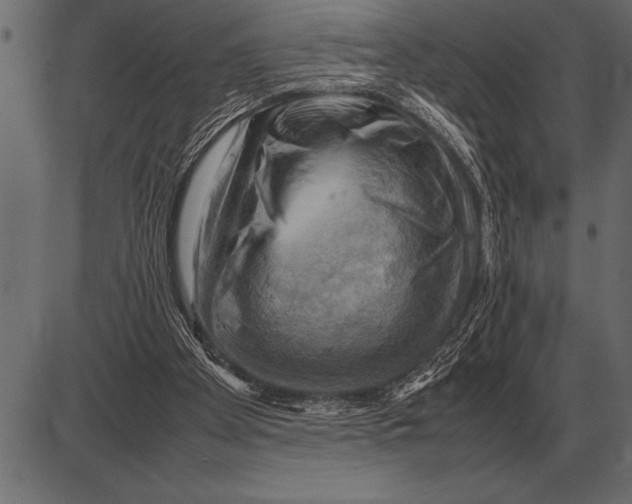 X0000085740105200704091520