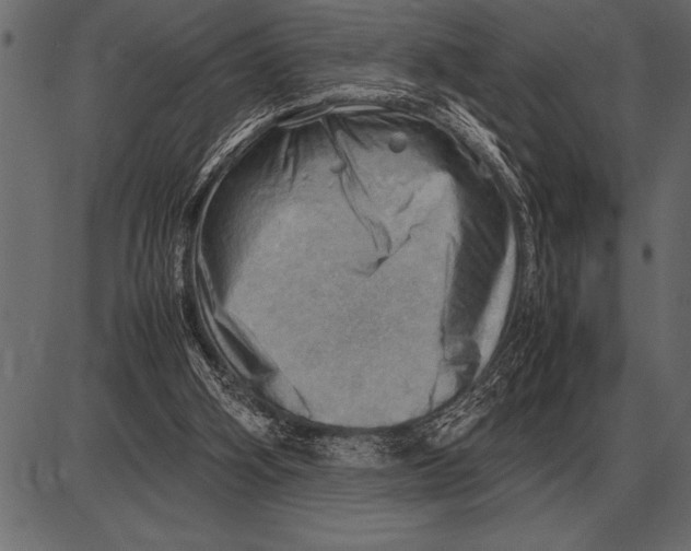 X0000085740106200704091520