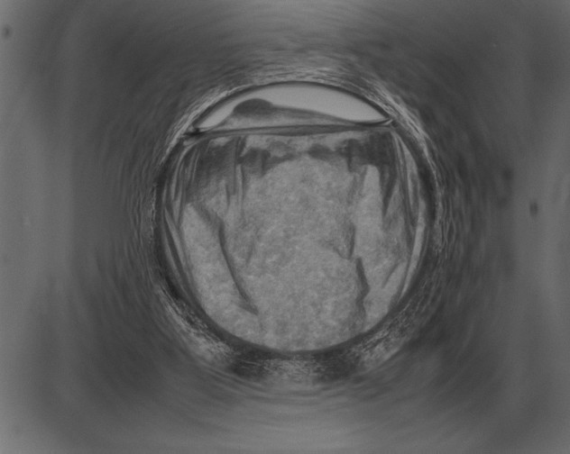X0000085740107200704091520