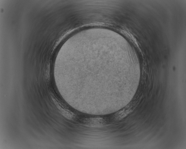 X0000085740108200704091520
