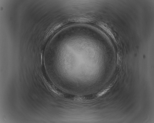 X0000085740109200704091520