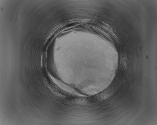 X0000085740110200704091520