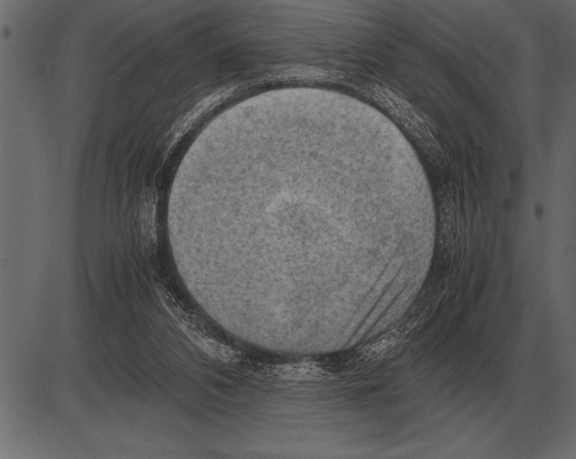 X0000085740112200704091520