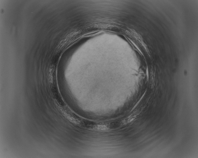 X0000085740114200704091520