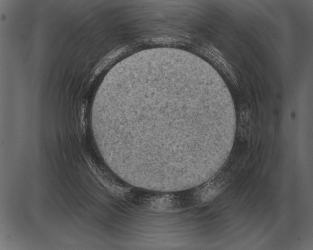 X0000085740116200704091520