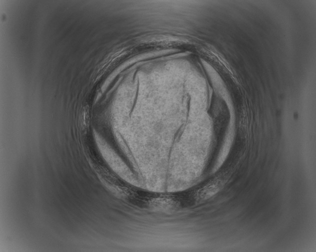 X0000085740119200704091520