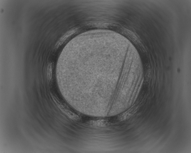 X0000085740120200704091520