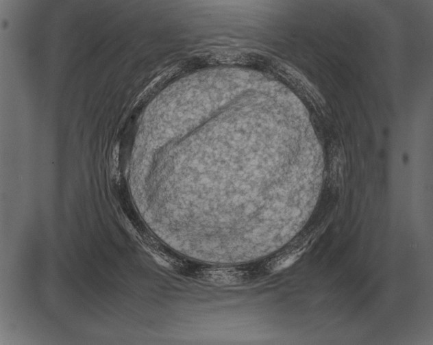 X0000085740121200704091520