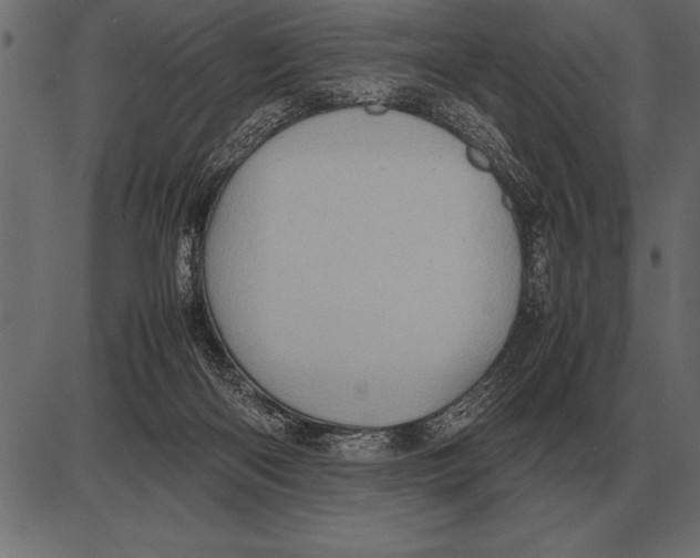 X0000085740122200704091520