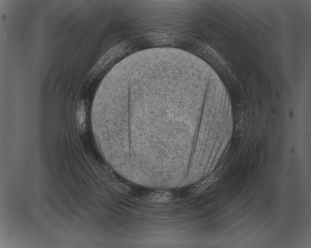 X0000085740124200704091520