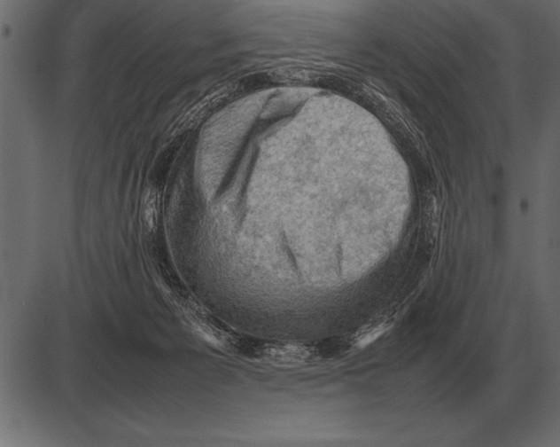 X0000085740125200704091519