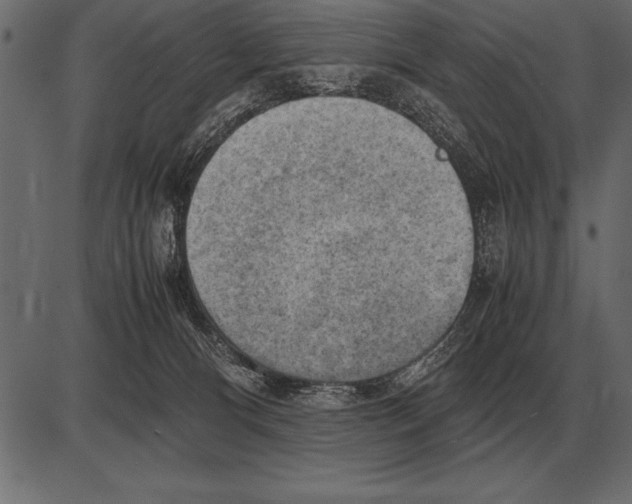 X0000085740128200704091519