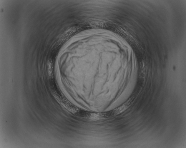 X0000085740130200704091519