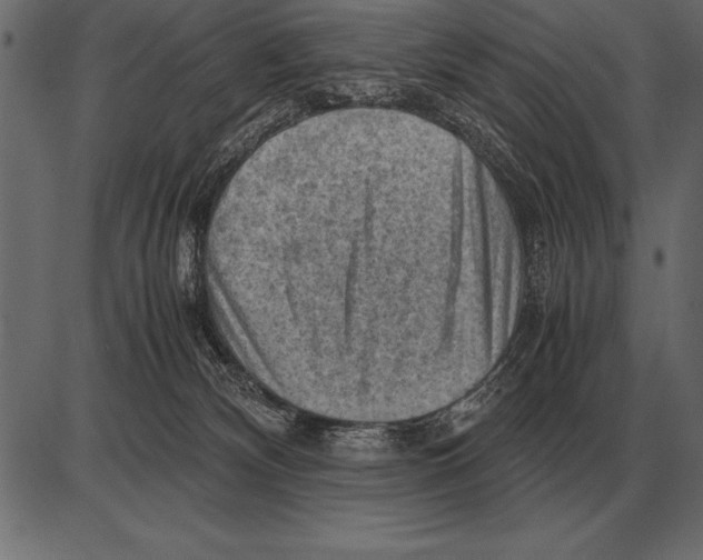 X0000085740132200704091519