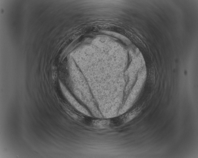 X0000085740135200704091519