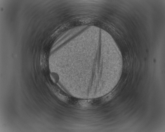 X0000085740136200704091519