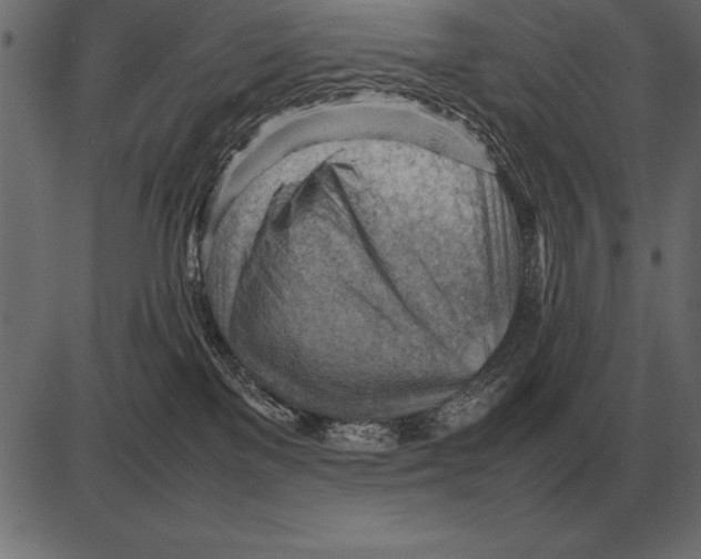 X0000085740137200704091519