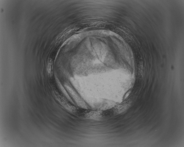 X0000085740138200704091519