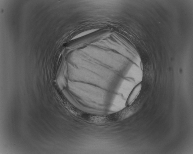 X0000085740139200704091519