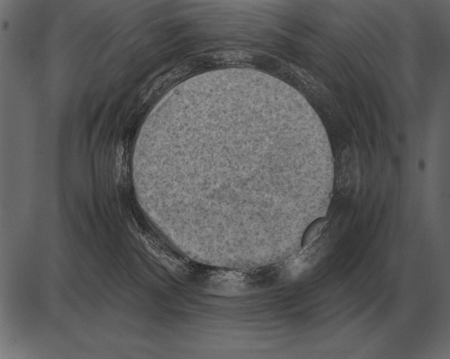 X0000085740140200704091519