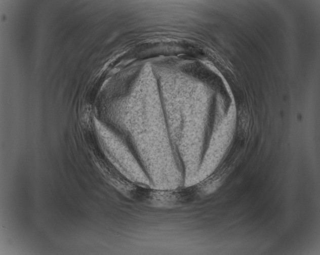 X0000085740141200704091519