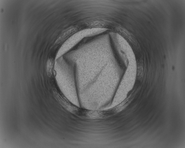 X0000085740142200704091519