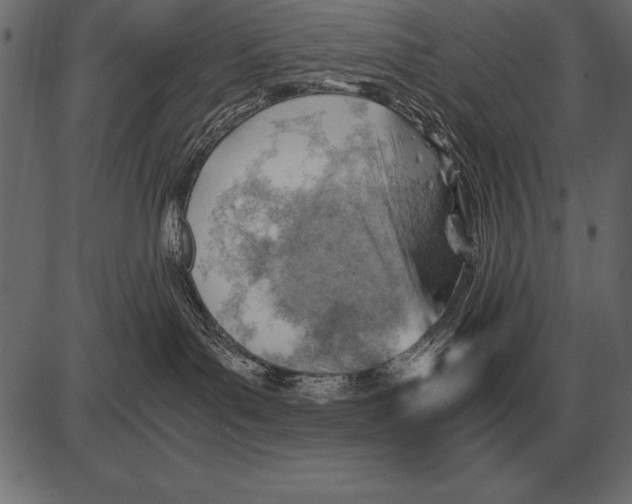 X0000085740143200704091519