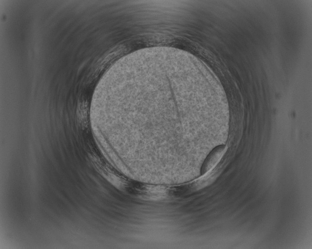 X0000085740144200704091519