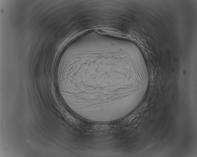 X0000085740145200704091518
